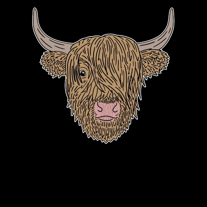 Beef Cow Scottish Highland Cattle Highland Cattle