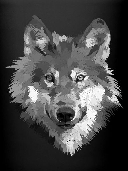Wolf - dog drawn