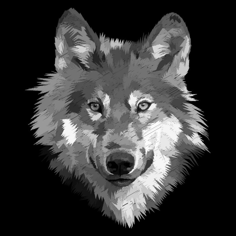 Wolf - dog drawn