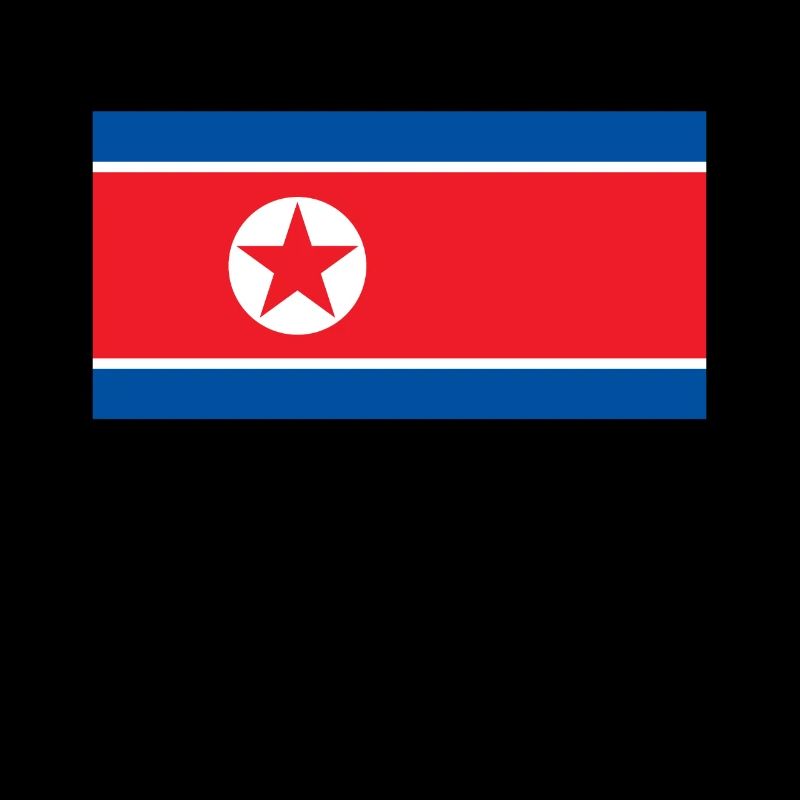 Corée du Nord Corée du Sud drapeau bannière cadeau