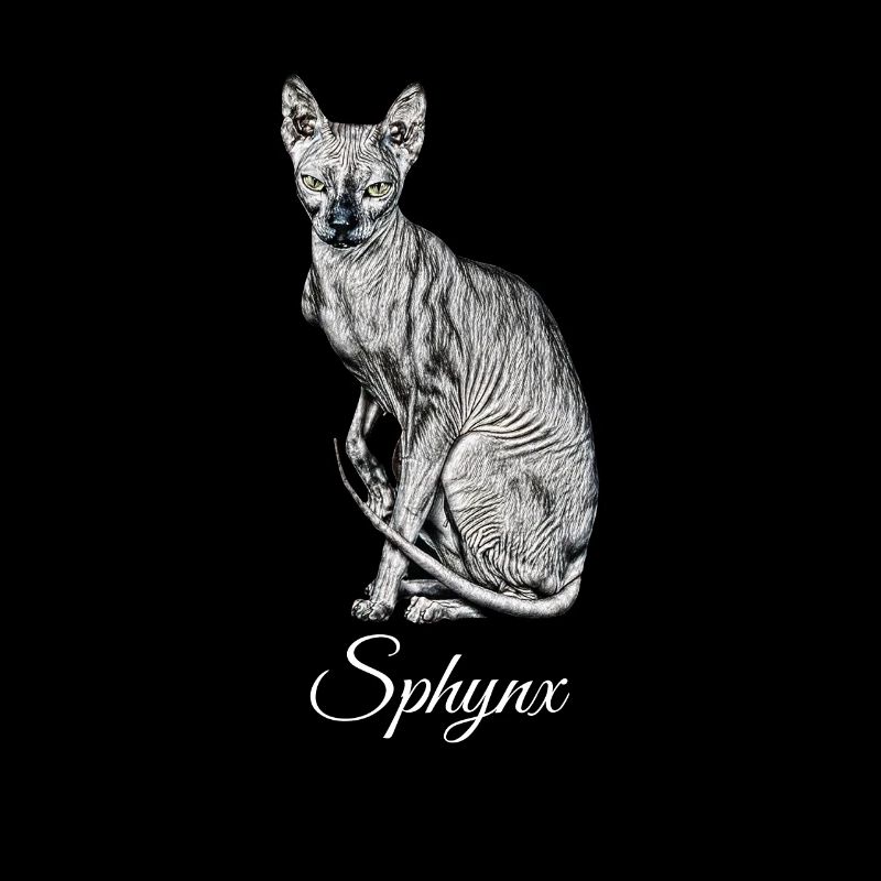 Sphynx chat
