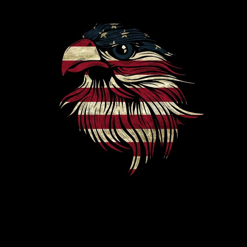 Drapeau américain aigle