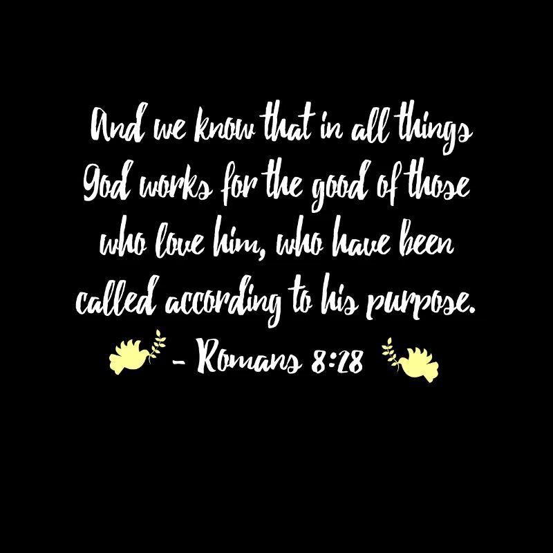 Romans 828
