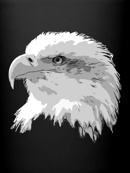 Eagle head