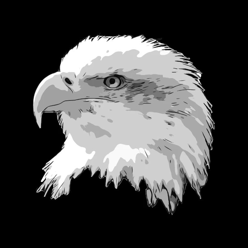 Tête d'aigle