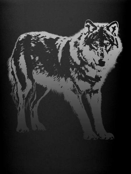 Wolf in silver