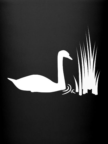 Cygne étang roseaux