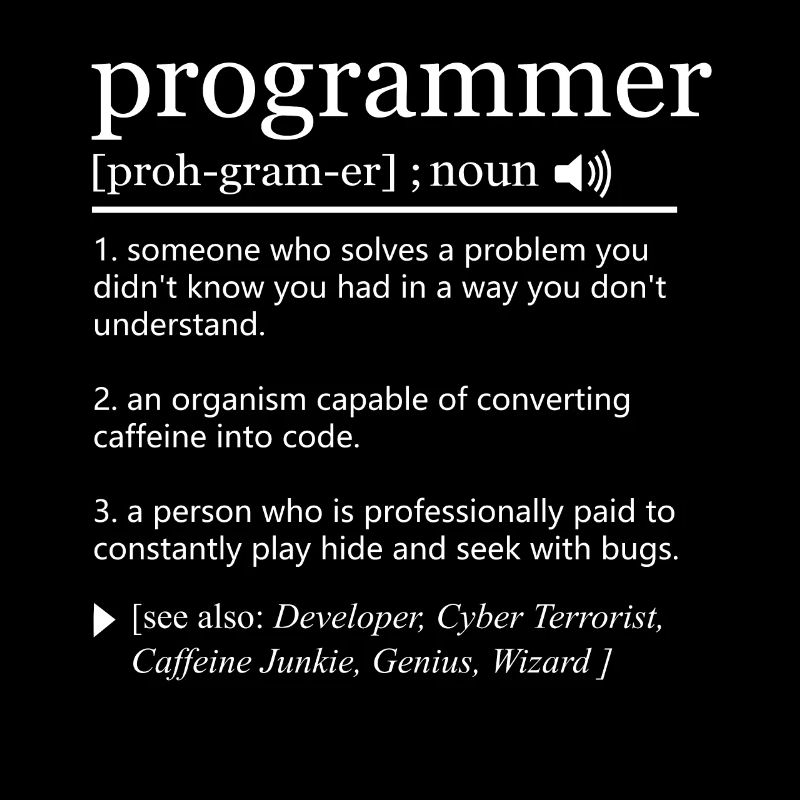 Programmer Definition