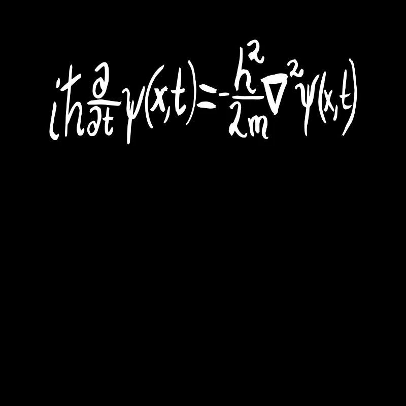 Schrödinger equation