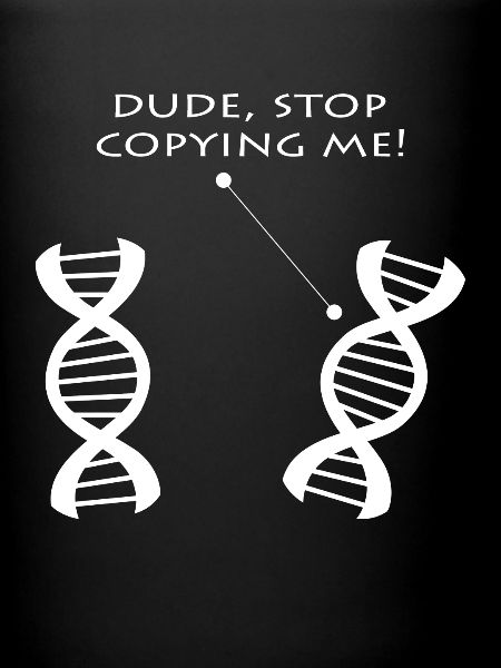 Dialogue ADN : Arrêtez de copier