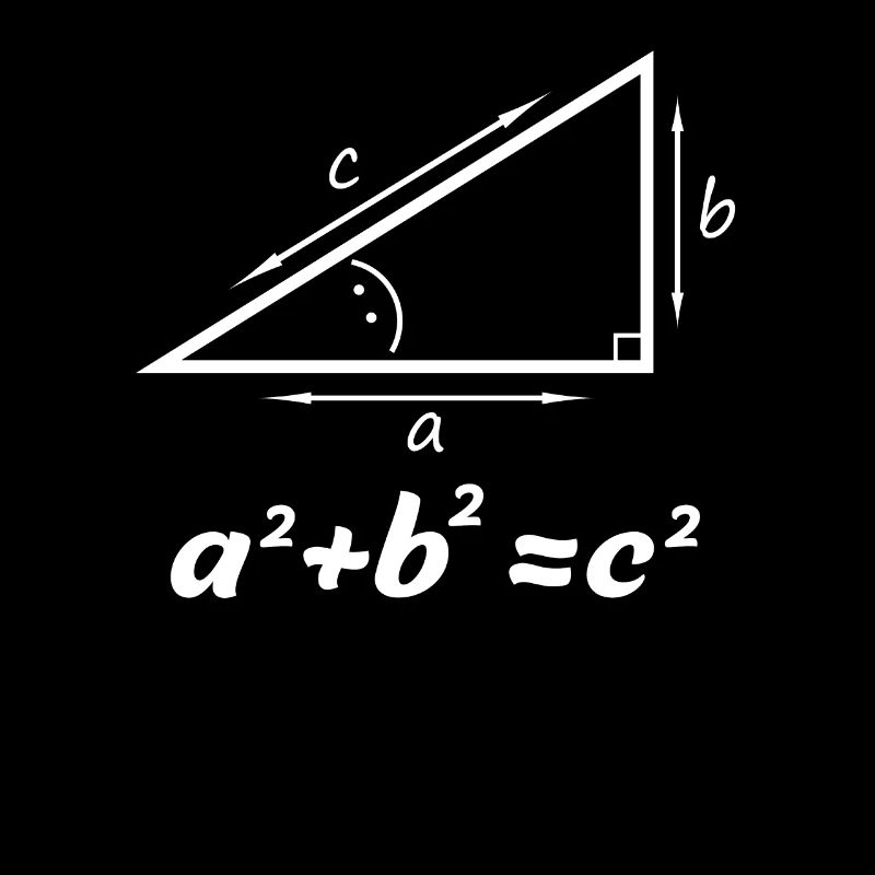Pythagorean theorem gift for math teacher nerd