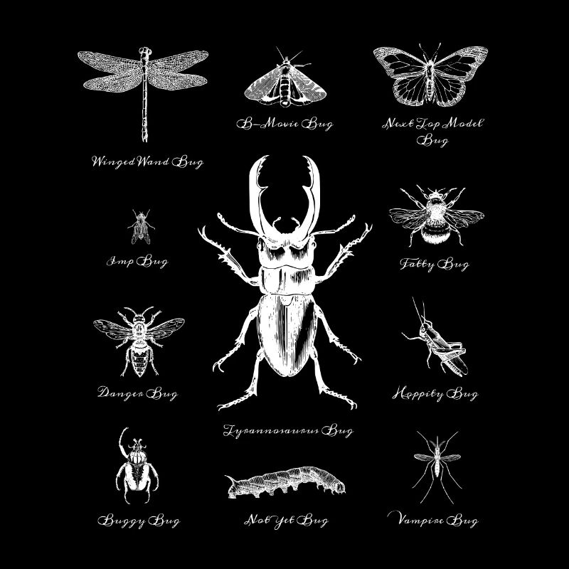 Bugs Beetles insects beetles insects