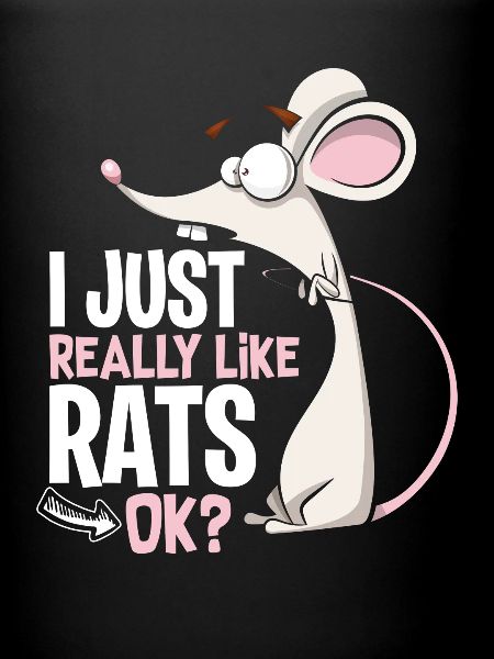 Rats animal préféré