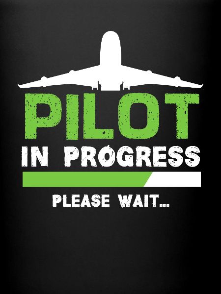 Pilot flight school