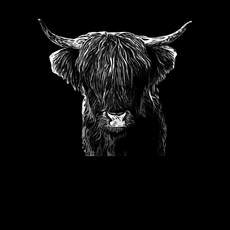 Highlands Rind Highland Cattle