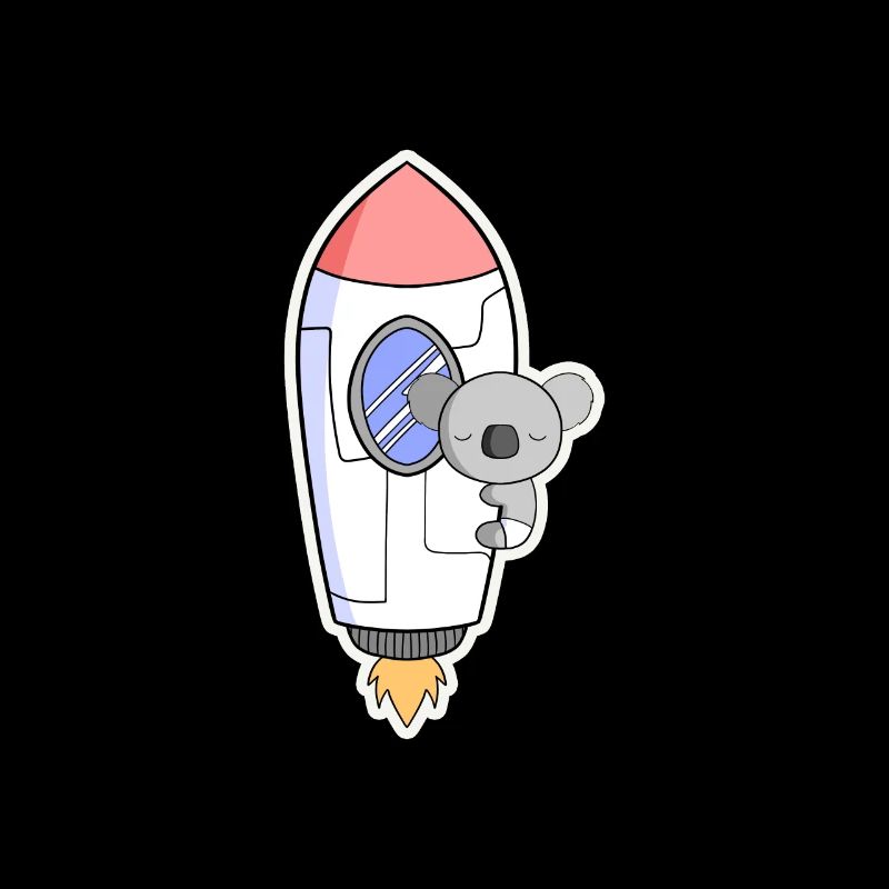 Koala rocket in orbit