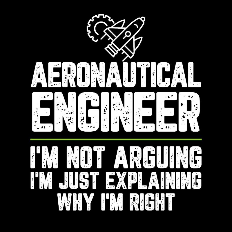 Aeronautical engineer I'm Not Arguing I'm Just