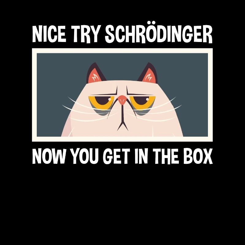 Nice attempt Schrödinger physics physicist
