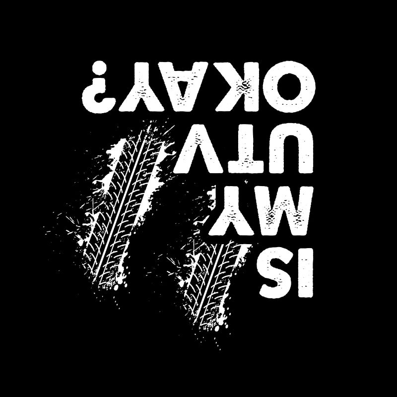 Is My UTV ok, Funny Side By Side SxS UTV