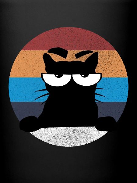 Chat grumpy