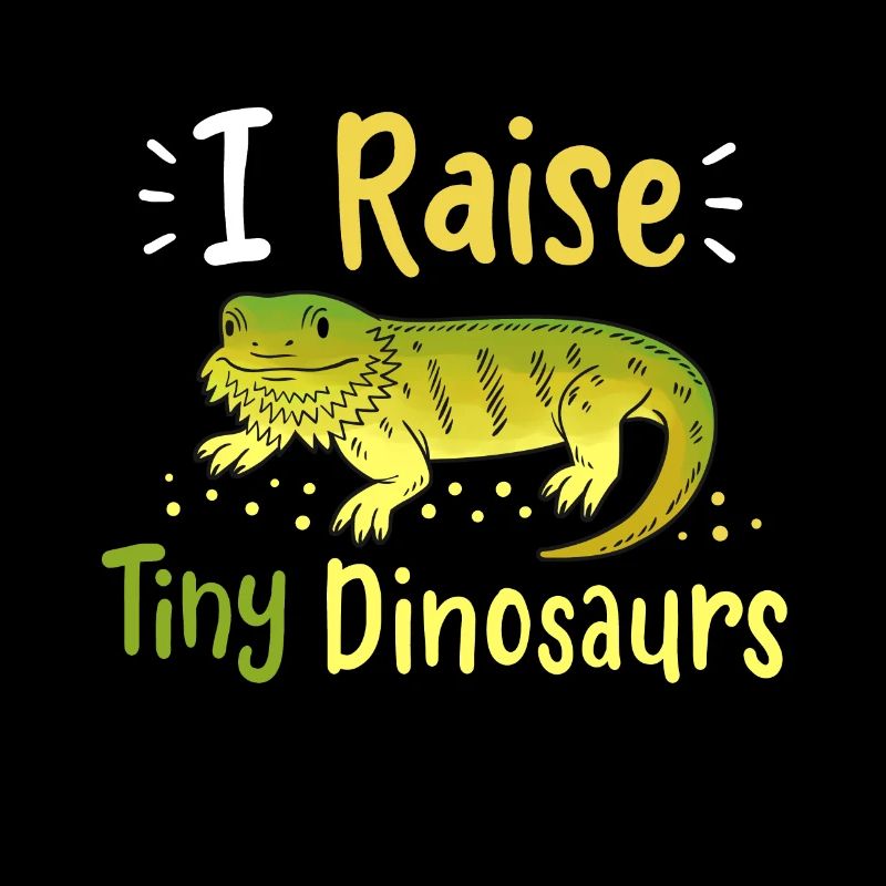 Bartagame Eidechse Reptilien