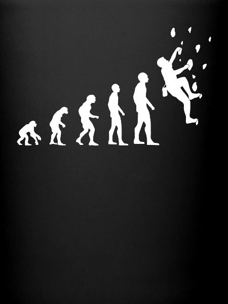 Climber Evolution Salle d’escalade