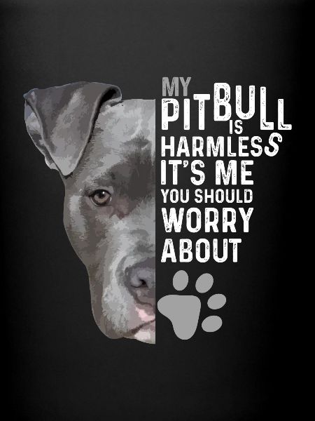 Pitbull