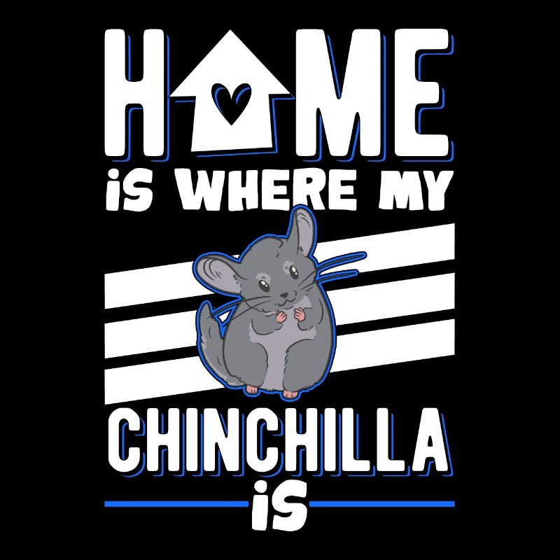 Home is where my Chinchilla is