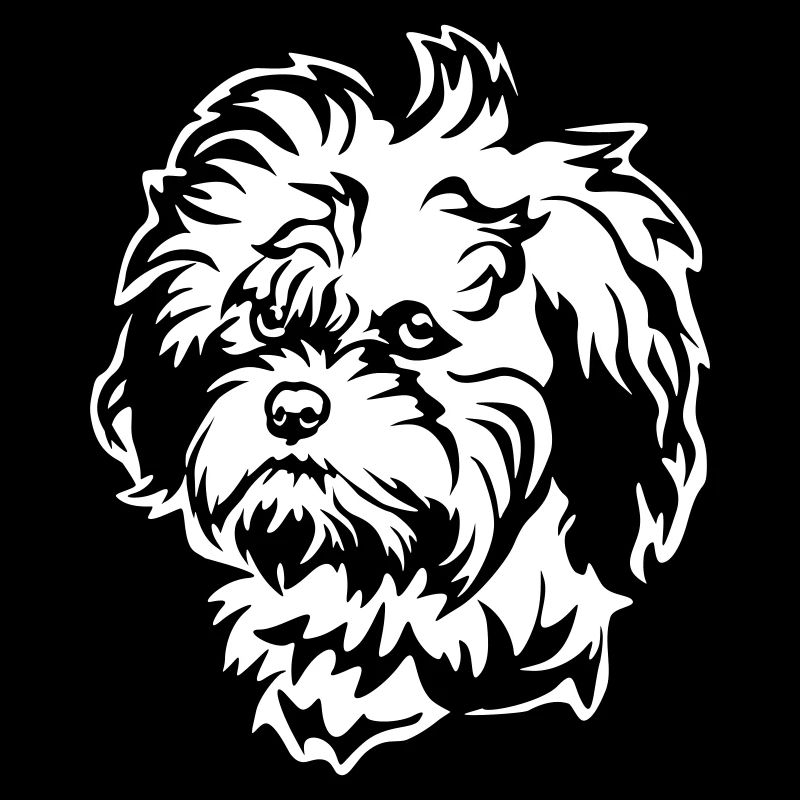 Tête de Lion « Black Edition »