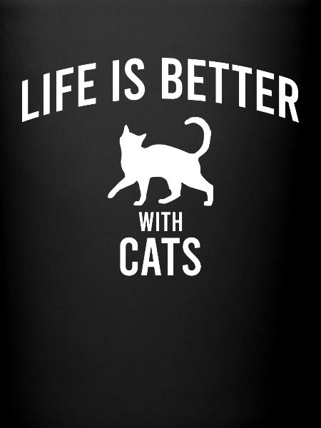 Dicton de chat