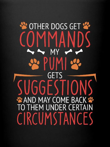 Pumi Commandes Paw