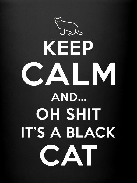 Superstition Chat Noir