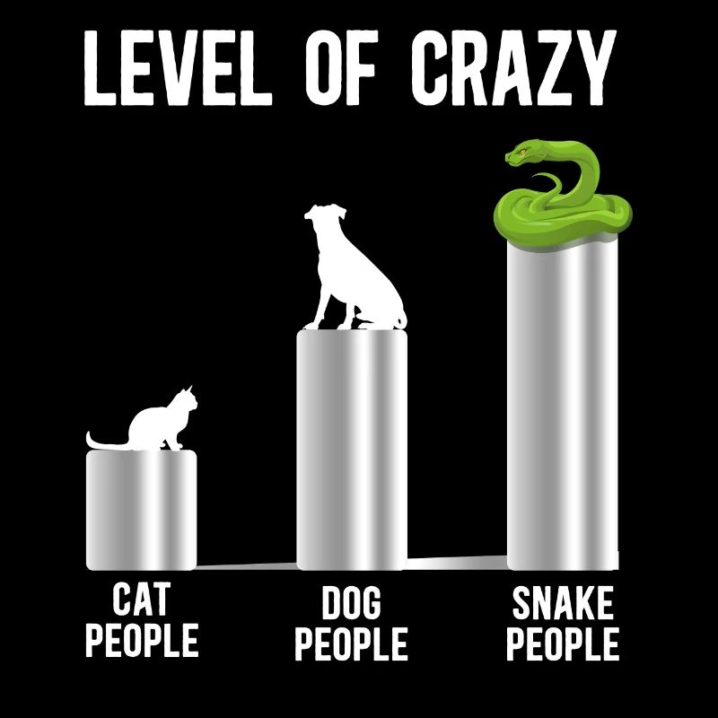Serpent Serpent Niveau De Chat Fou