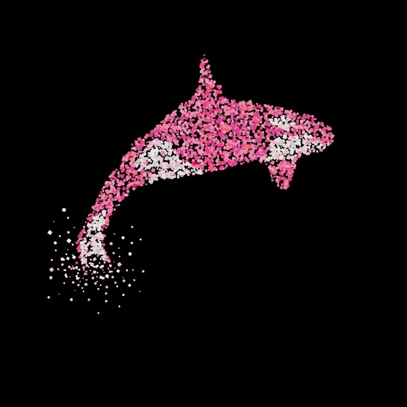 Killerwal Killerwale Mörderwal Orka