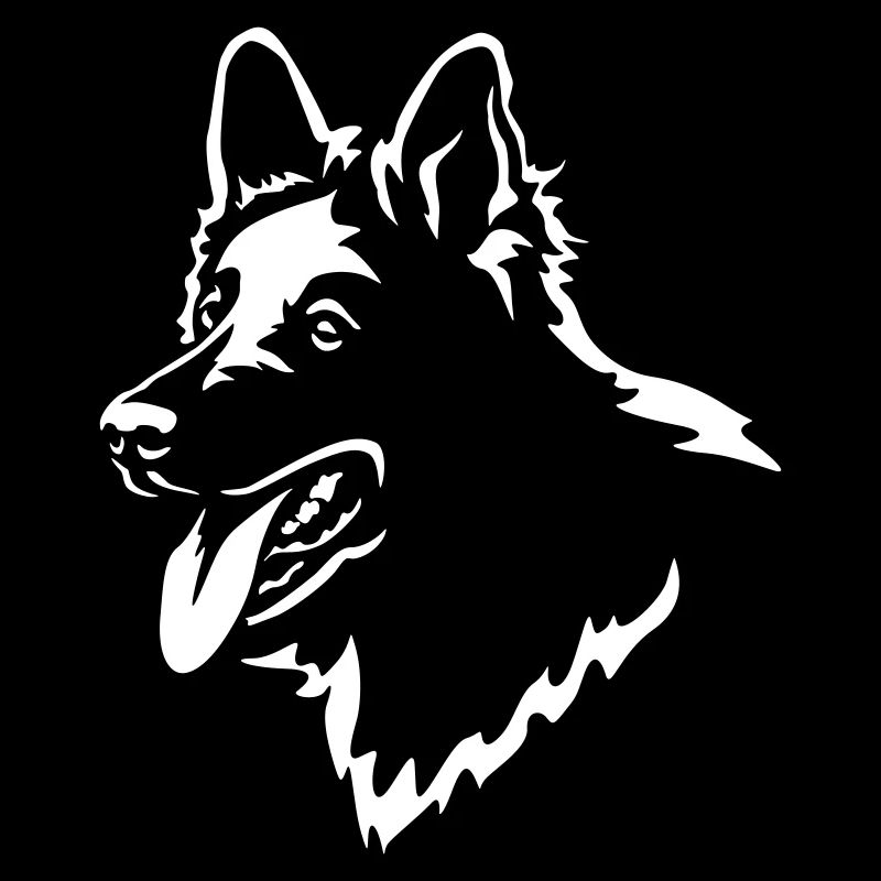 Schweizer Schäferhund Kopf