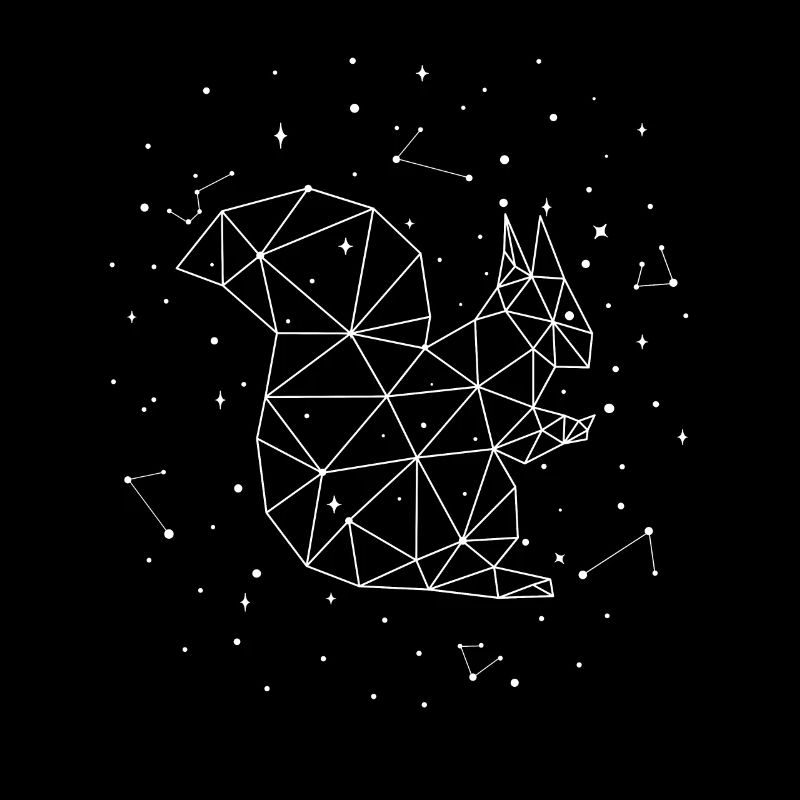 Constellation Squirrel Constellation Squirrel