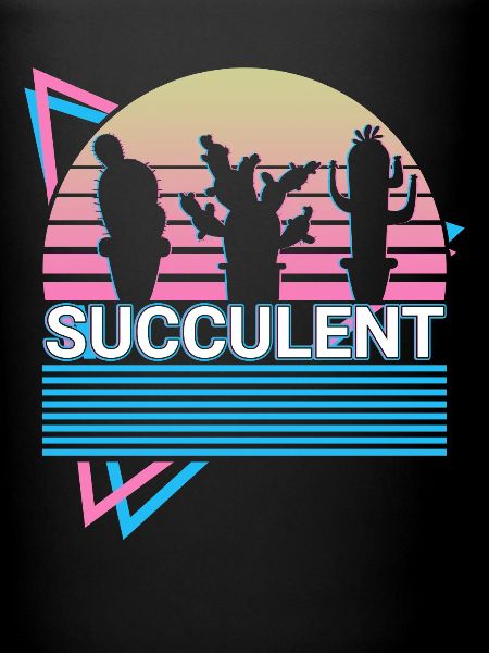 Succulent cadeau rétro