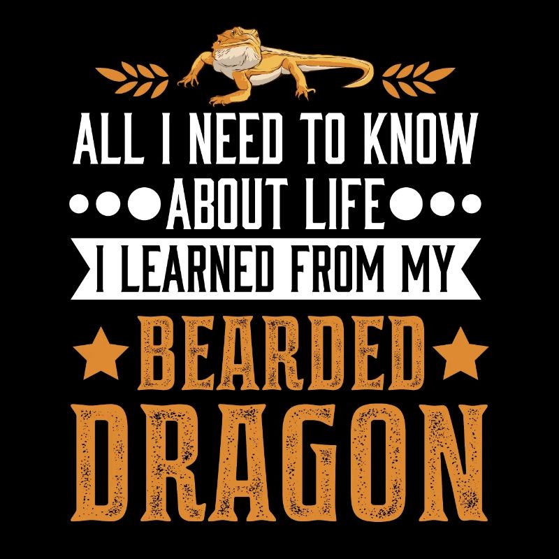 Bartagame Dragon barbu