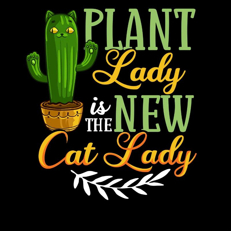 Catcus Cactus Chat Plantes Succulentes Cactus