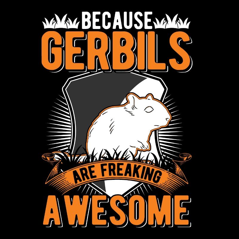 Gerbil Gift Racing Rat Germesau