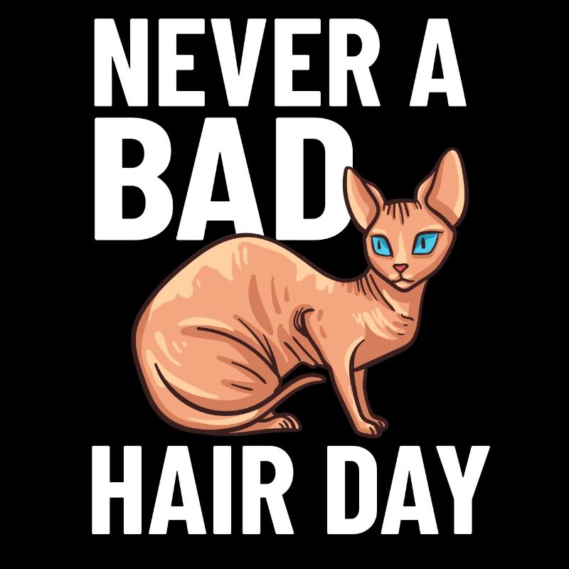 Sphynx Chat Sphinx Chaton sans poils Egypte