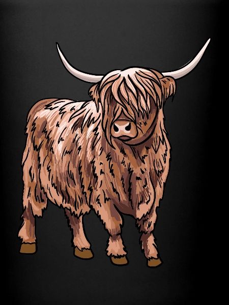 Highland Cow