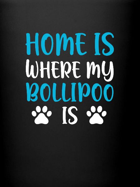 Bollipoo
