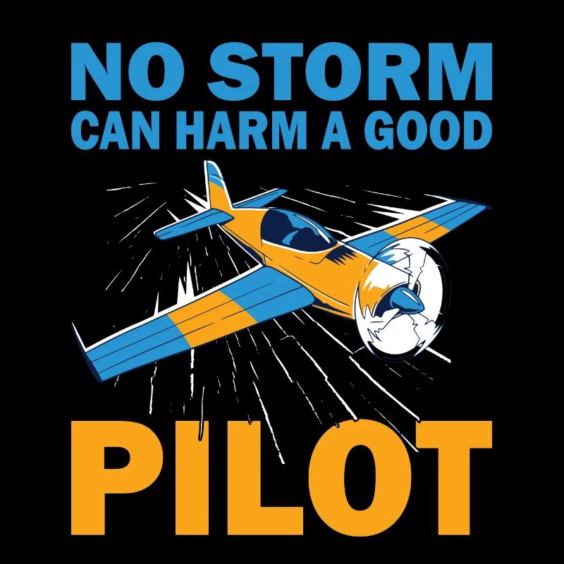 Pilot No Storm Can Harm Airplane Aviation Flyer
