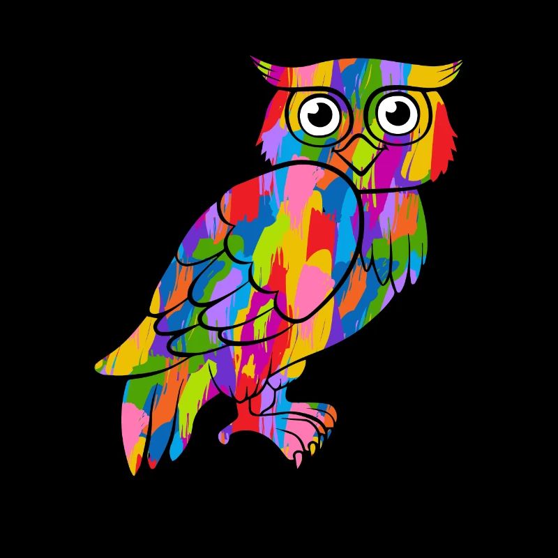 Owl Colorful