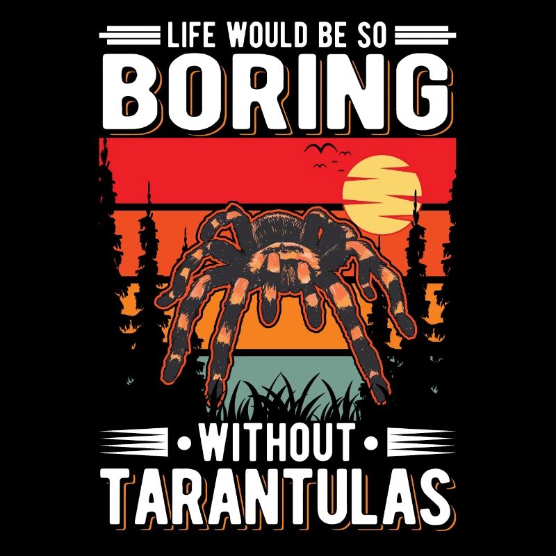 Tarantel Spinne Tarantula