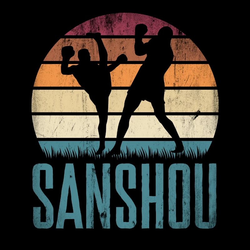 Arts martiaux chinois Sanshou Boxe chinoise