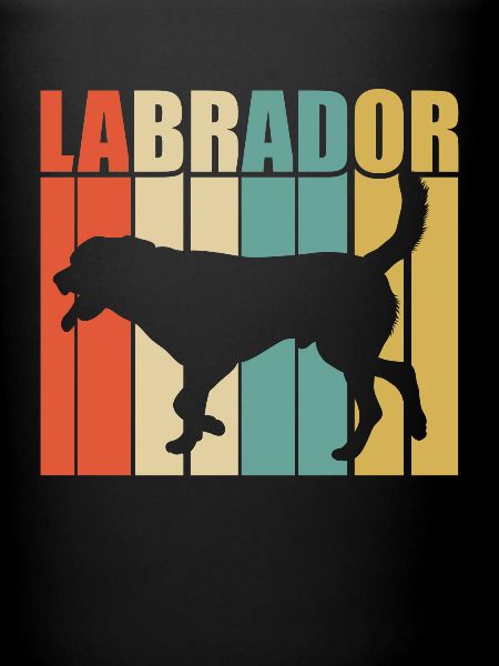 Labrador rétro