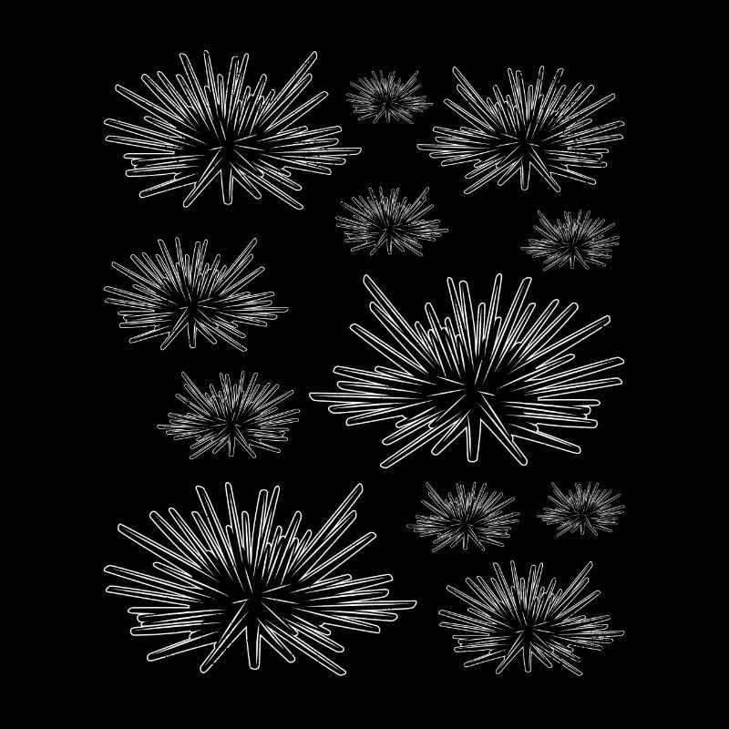 Seeigel Viele Seeigel - Meerestiere Seeigel