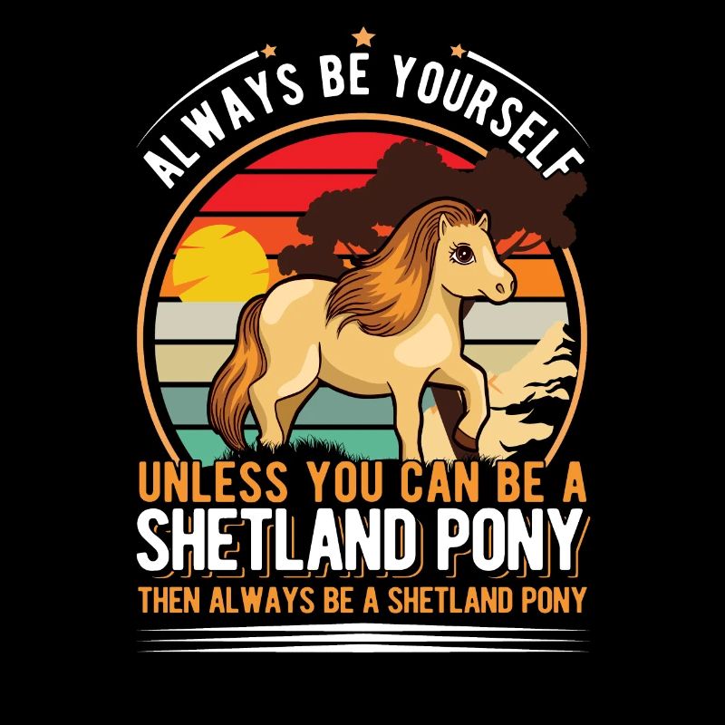 Shetland Pony Shetland Pony Shetty